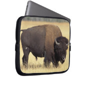 Bison Bull in Yellowstone National Laptopschutzhülle (Vorne Rechts)