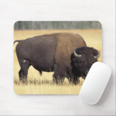 Bison Bull in Yellowstone National Mousepad (Mit Mouse)