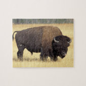 Bison Bull in Yellowstone National Puzzle (Horizontal)