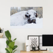 Bison Bull, Wintermantel Poster (Heimbüro)