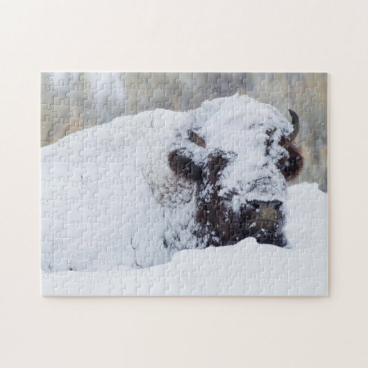 Bison Bull, Wintermantel Puzzle (Horizontal)