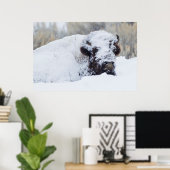 Bison-Bulle, Wintermantel Poster (Heimbüro)