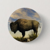 Bison Button (Vorderseite)