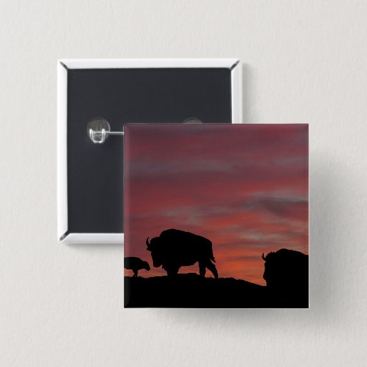 Bison Button (Vorne & Hinten)