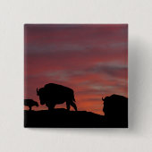 Bison Button (Vorderseite)