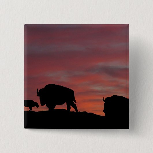 Bison Button (Vorderseite)