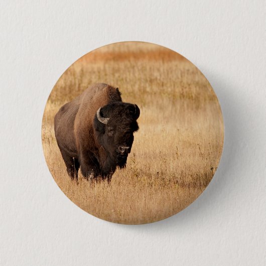 Bison Button (Vorderseite)