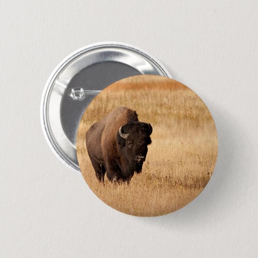 Bison Button (Vorne & Hinten)