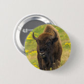Bison Button-Abzeichen Button (Vorne & Hinten)