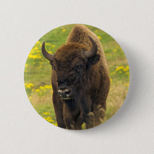 Bison Button-Abzeichen Button