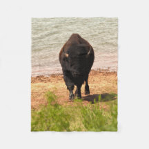 Bison By The Water