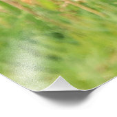 Bison Calf Foto Print (Ecke)