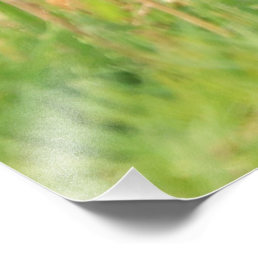 Bison Calf Foto Print (Ecke)