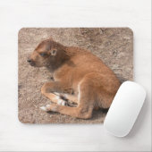 Bison Calf Mousepad (Mit Mouse)