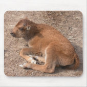 Bison Calf Mousepad (Vorne)