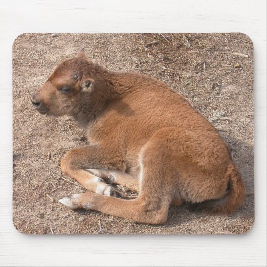 Bison Calf Mousepad (Vorne)