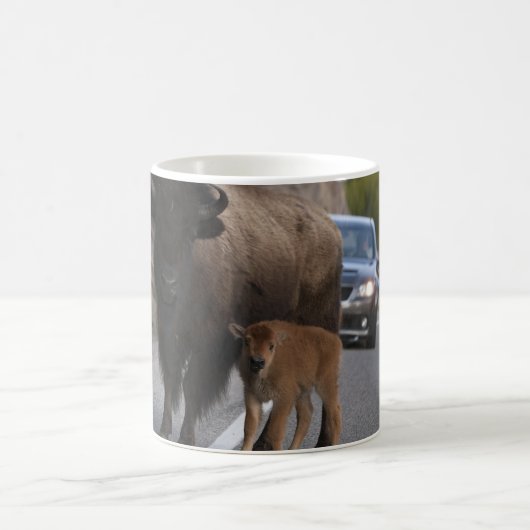 Bison Calf Roadblock Kaffeetasse (Mittel)