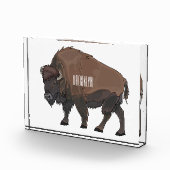 Bison-Cartoon-Abbildung Fotoblock (Rechts)
