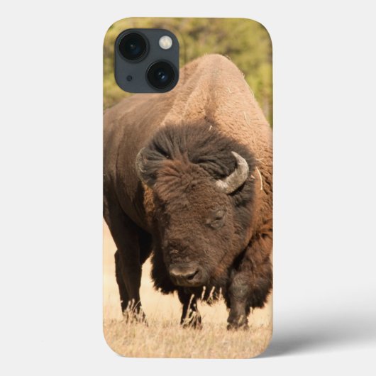 Bison Case-Mate iPhone Hülle (Rückseite)