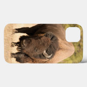 Bison Case-Mate iPhone Hülle (Rückseite (Horizontal))