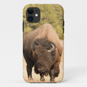 Bison Case-Mate iPhone Hülle