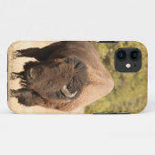 Bison Case-Mate iPhone Hülle (Rückseite (Horizontal))