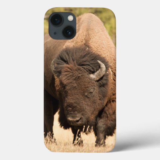 Bison Case-Mate iPhone Hülle (Rückseite)