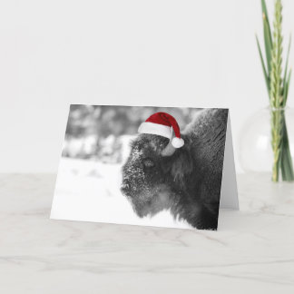 Bison Claus Feiertagskarte