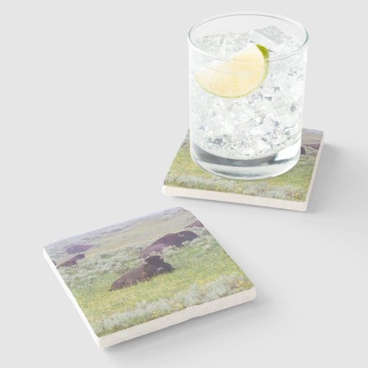 Bison Coaster Steinuntersetzer (Seitenansicht)