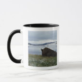 Bison, der an durch Yellowstone River mit Schnee Tasse (Links)