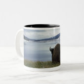 Bison, der an durch Yellowstone River mit Schnee Zweifarbige Tasse (Vorderseite Links)