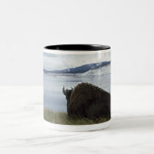 Bison, der an durch Yellowstone River mit Schnee Zweifarbige Tasse (Mittel)