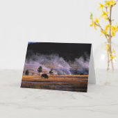 Bison, der nahe im oberen Geysir-Becken weiden Karte (Gelbe Blume)