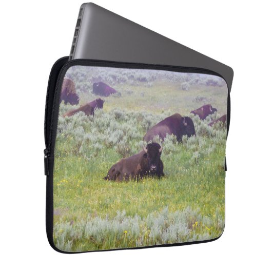 Bison Dream Laptop Case (Vorne Rechts)