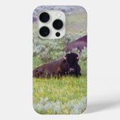 Bison Dreams Phone Wallet Case-Mate iPhone Hülle (Rückseite)