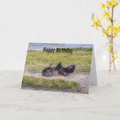 Bison Dust Bath, Yellowstone National Park Wyoming Karte (Gelbe Blume)