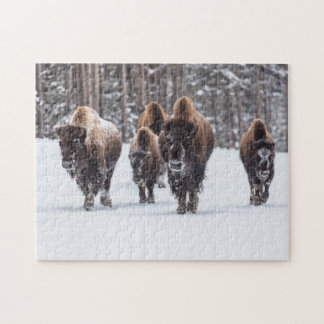 Bison Family in Snow Jigsaw Puzzle