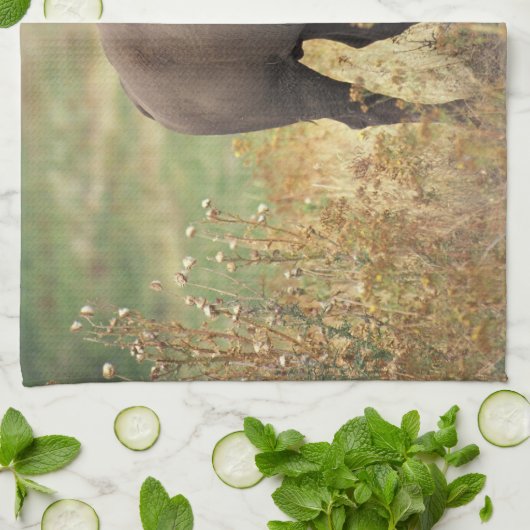 Bison Foto Küchentuch (Gefaltet)