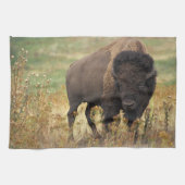 Bison Foto Küchentuch (Horizontal)