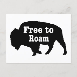 Bison free to roam postkarte