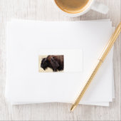 Bison-Freundschaft Adressaufkleber (Insitu)