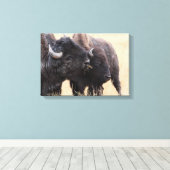 Bison-Freundschaft Leinwanddruck (Insitu (Holzboden))