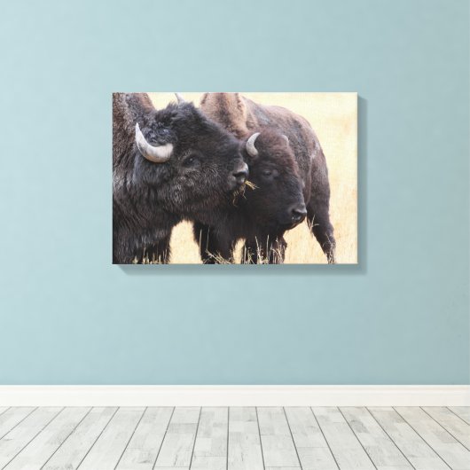 Bison-Freundschaft Leinwanddruck (Insitu (Holzboden))