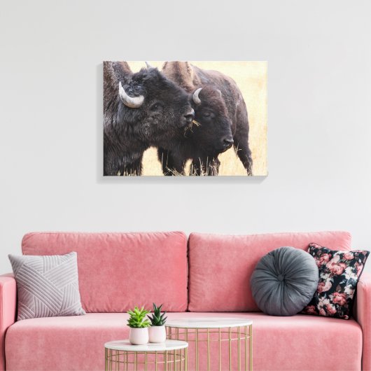 Bison-Freundschaft Leinwanddruck (Insitu (Wohnzimmer))