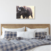 Bison-Freundschaft Leinwanddruck (Insitu (Schlafzimmer))