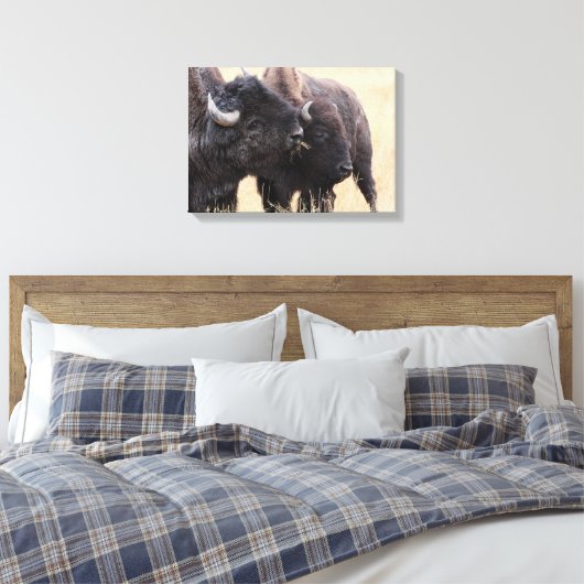 Bison-Freundschaft Leinwanddruck (Insitu (Schlafzimmer))