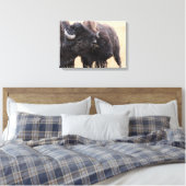 Bison-Freundschaft Leinwanddruck (Insitu (Schlafzimmer))