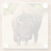 Bison Glasuntersetzer (Rückseite)