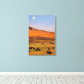 Bison Grazing on Hill im Hayden Valley Leinwanddruck (Insitu (Holzboden))