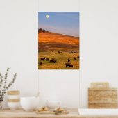 Bison Grazing on Hill im Hayden Valley Poster (Küche)